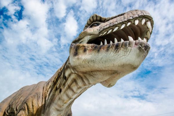 How To Mine With T-rex Miner