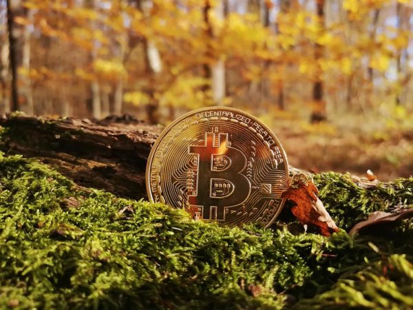 What Cryptocurrencies Do People Invest in the Most Based on the Season? What Cryptocurrencies Do People Invest in the Most Based on the Season?