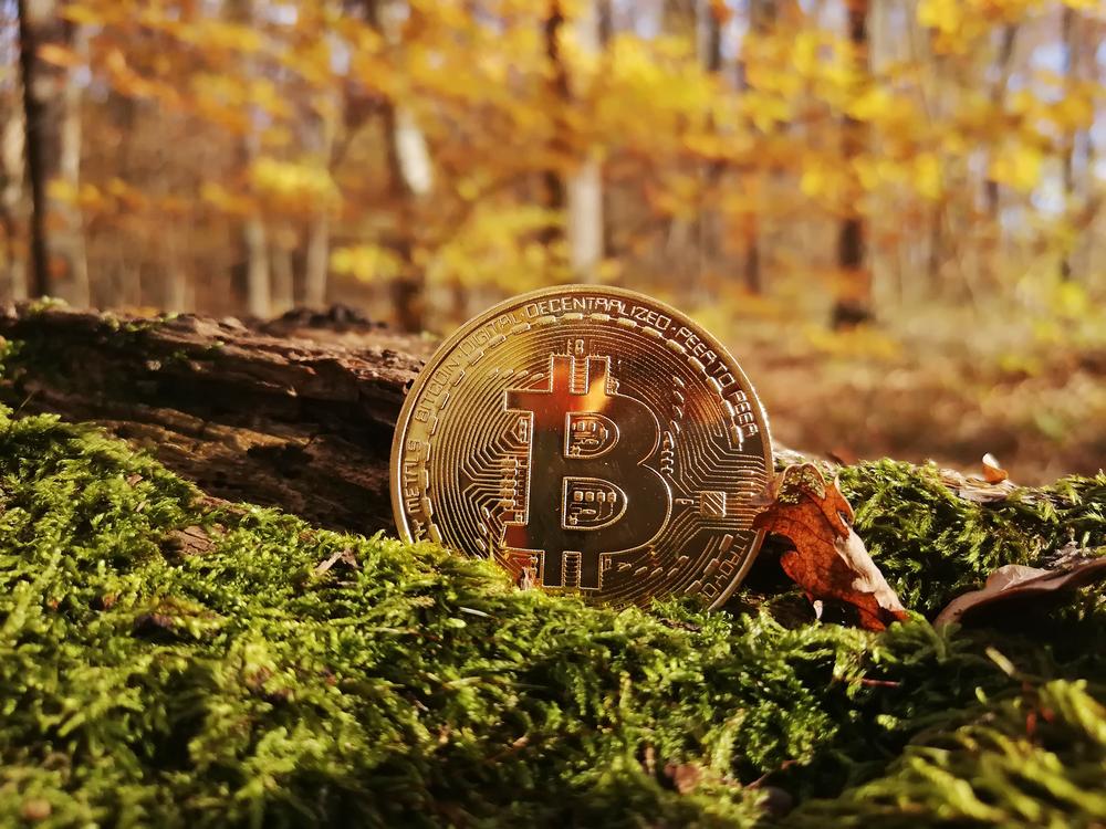 What Cryptocurrencies Do People Invest in the Most Based on the Season?