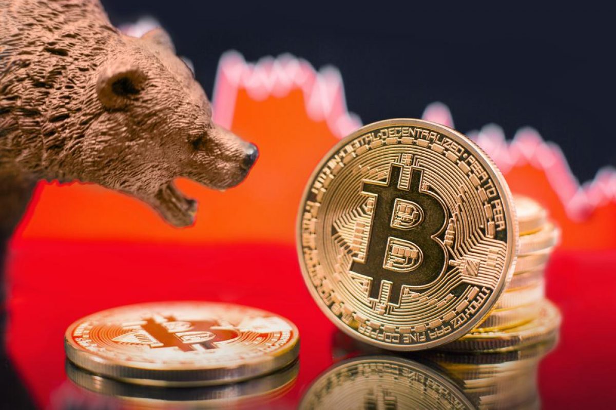 Mining in Bear Markets: Strategies for Mining During Price Dips