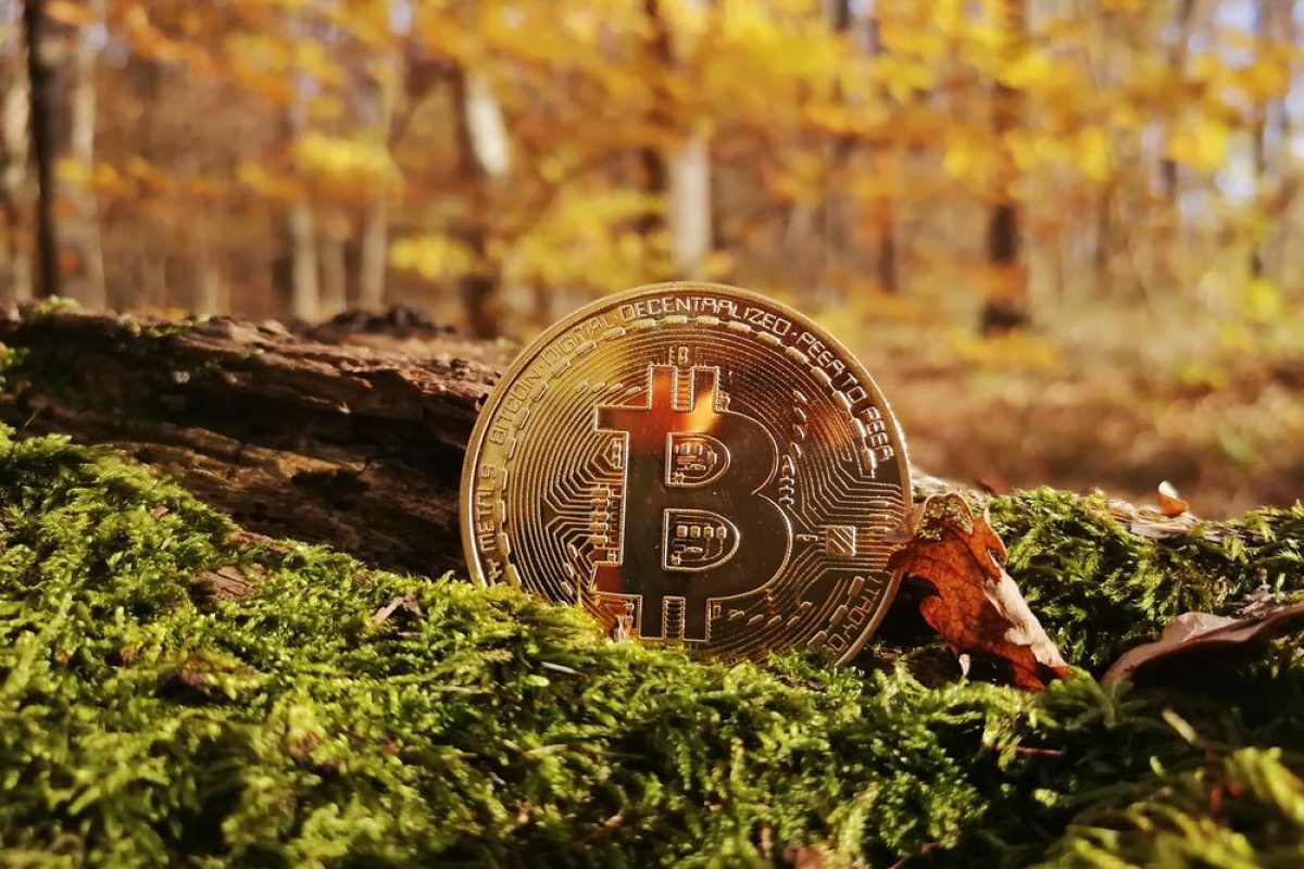 What Cryptocurrencies Do People Invest in the Most Based on the Season?